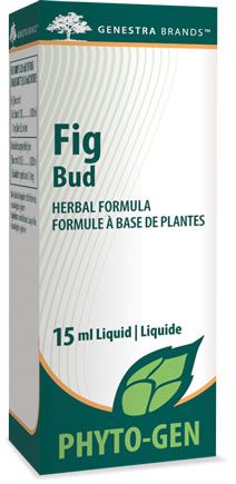 Fig Bud Image