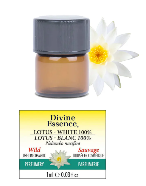 Lotus Blanc 100% Sauvage Absolue Image