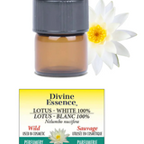 Lotus Blanc 100% Sauvage Absolue image 1