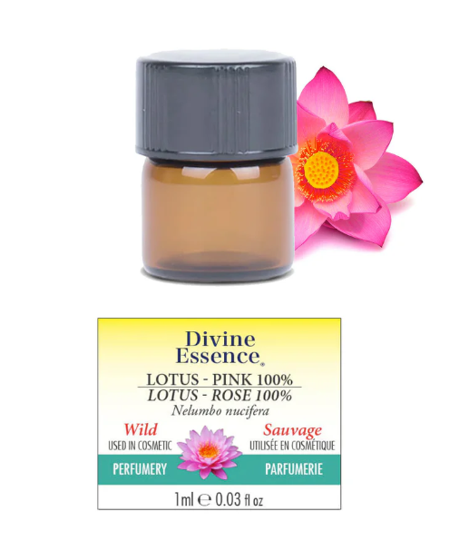 Lotus Rose 100% Absolue sauvage Image