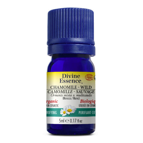 Camomille Sauvage (Maroc) Bio. Image