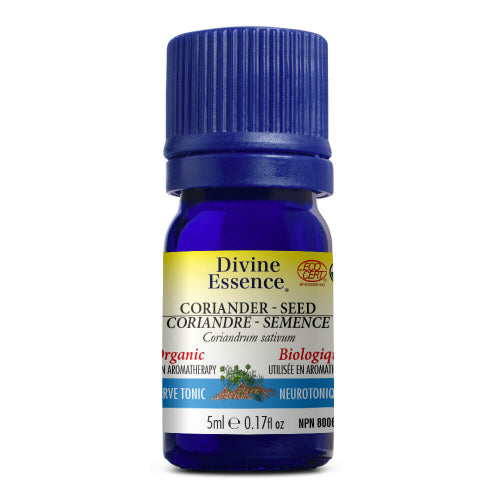 Coriandre - Semence Bio. Image