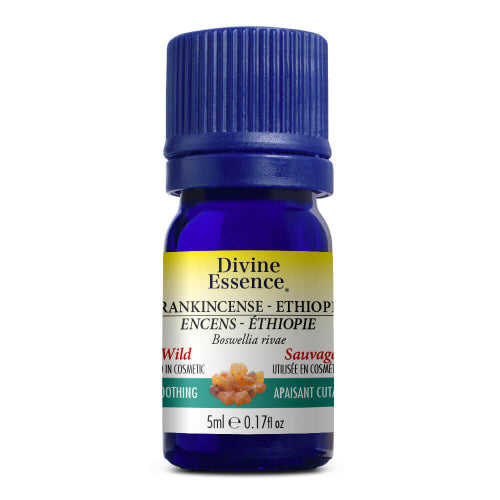 Encens - Ethiopie (B. Rivae) Sauv. Image
