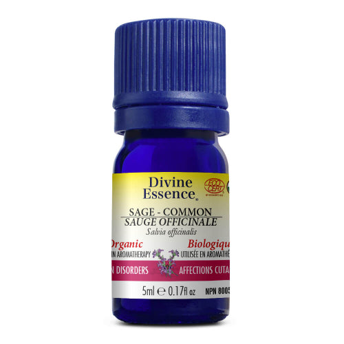 Sauge Officinale Bio. Image