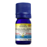 Ylang ylang extra supérieur Bio. image 1