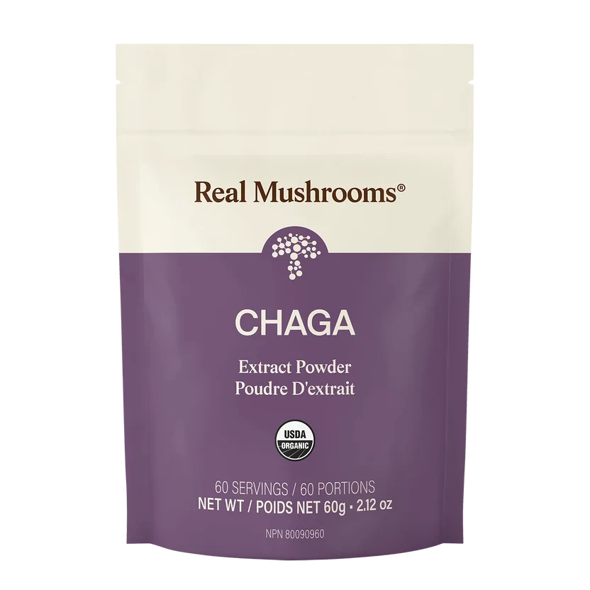 Extrait de Chaga (poudre)