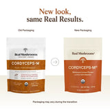 Cordyceps-M (Poudre) image 2