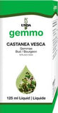 Castanea vesca  image 1