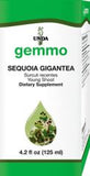 Sequoia gigantea  image 1
