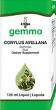 Corylus avellana  image 1