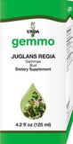 Juglans regia  image 1