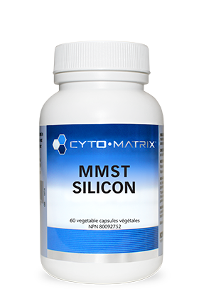 MMST Silicon Image
