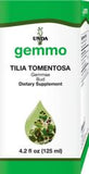 Tilia tomentosa  image 1