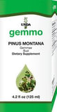 Pinus montana  image 1