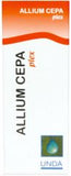 Allium cepa Plex  image 1